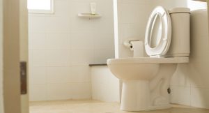 Toilettes blanche dans une salle de bain